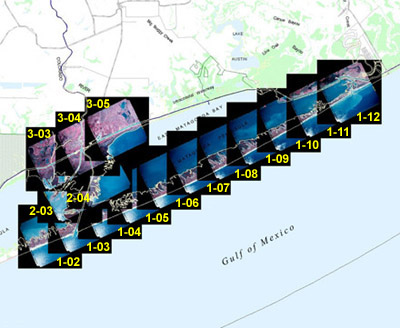 Upper Matagorda Peninsula